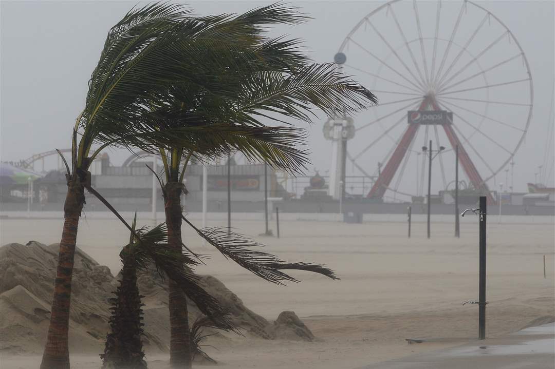 Palm-trees-Ocean-City