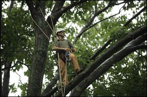 Arborist Mark Trautman prepares to climb 100-foot tall trees in Center Hall, Pa. He was among those who combed through the wreckage of Flight 93 in Shanksville, Pa., on Sept. 11, 2001.