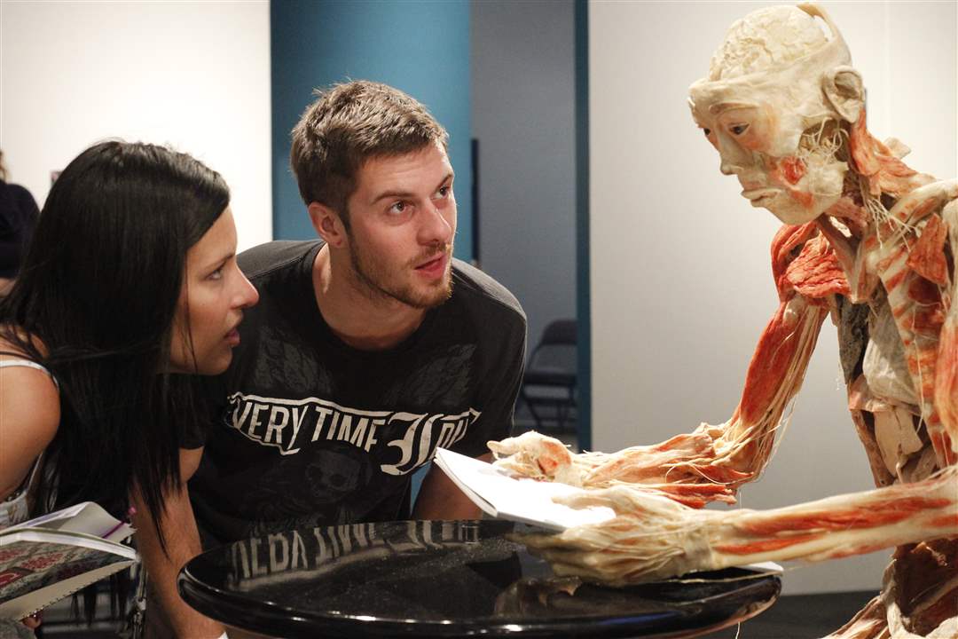 UT-students-Ashley-DeKay-left-and-Patrick-mcDonagh-look-at-a-piece-of-the-Bodies-Revealed-exhibit
