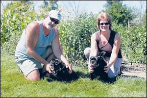 Dave Clarke and Jody Smith kneel with their pet pugs next to the garden.