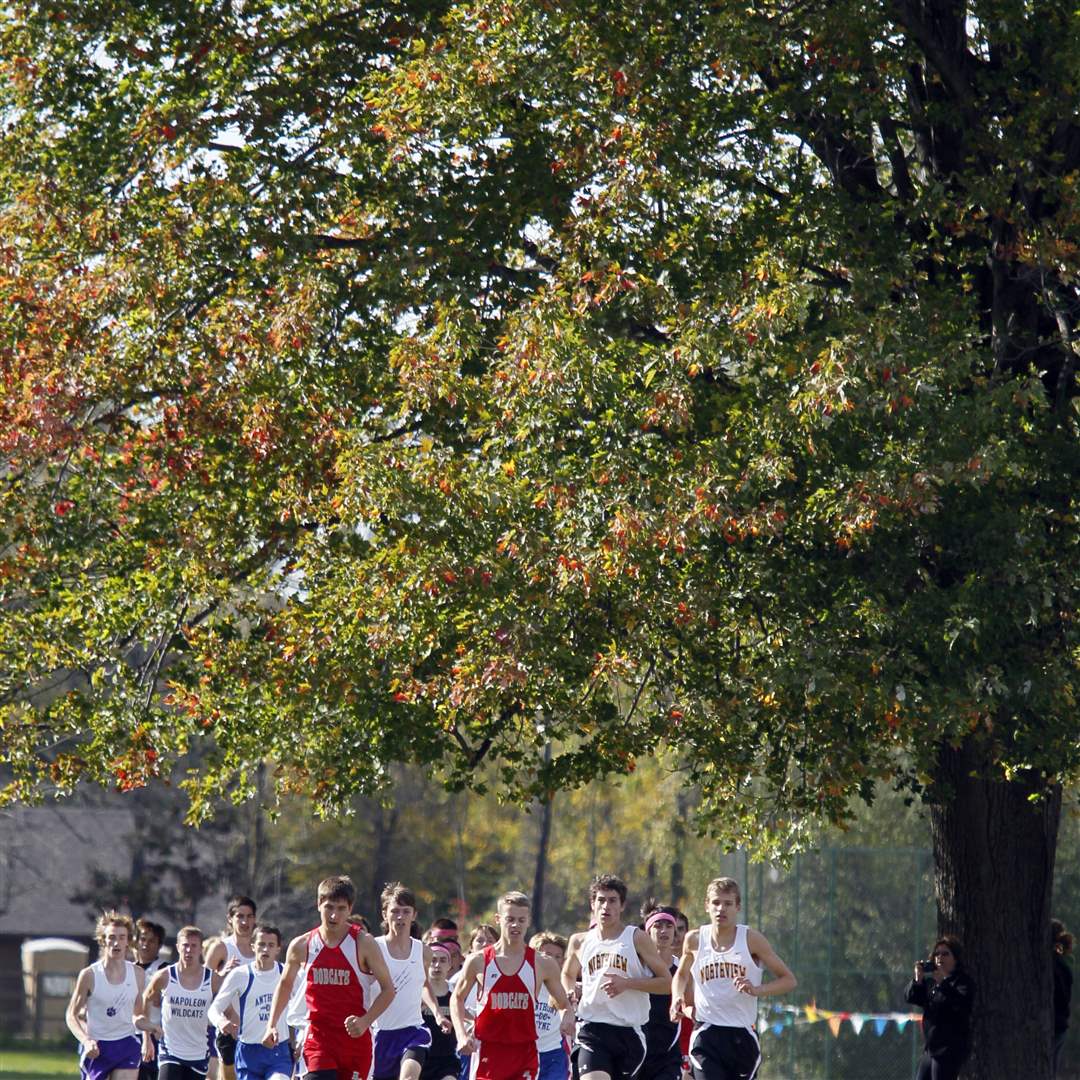 The-front-of-the-pack-approaches-at-the-NLL-cross-country-meet
