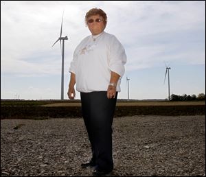 Village of Payne Mayor Nancy Speice owns two of the several wind turbines in Benton Township.