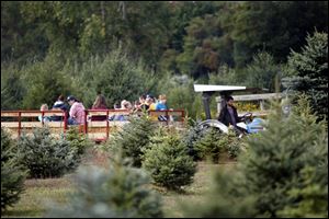 Driver Brandon Wilson takes a group on a hay ride through the Erie Orchards and Cider Mill property.