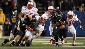 Toledo defensive end Ben Pike forces Zac Dysert to fumble in Saturday's game at the Glass Bowl.