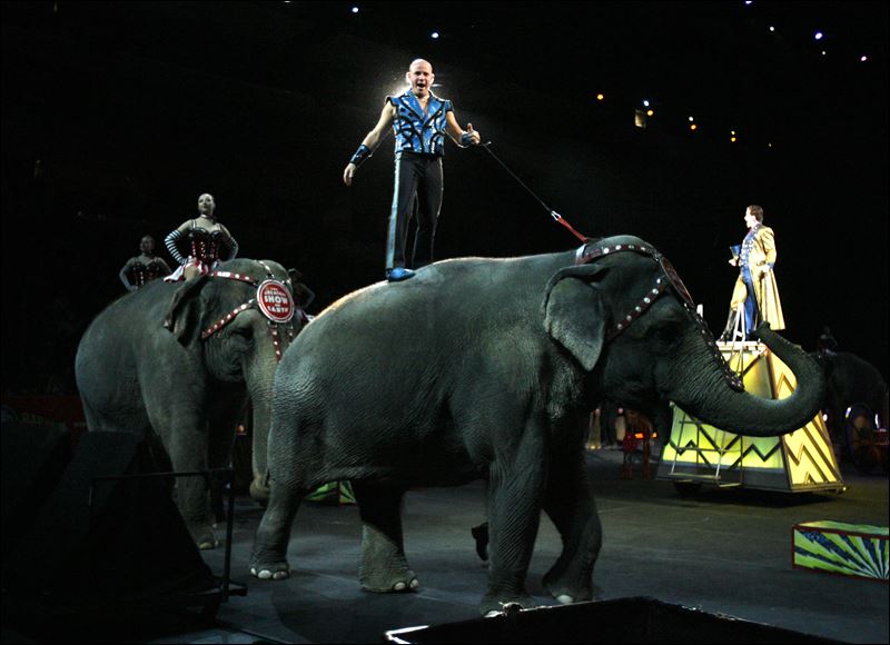 tabayara taba maluenda