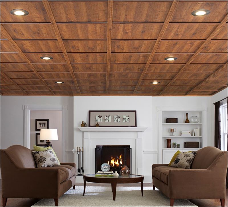 Living Rooms with Wood Ceilings