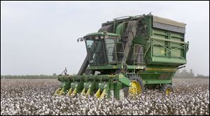 Cotton is harvested about 150 miles northwest of Los Angeles. Prices for the commodity have dropped since the high in March but remain 40 percent above the 2009 level.
