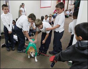 Third-graders Jacob Hall, Grant Perdue, Robert Flick, and Gavin Gibbs pet Tucker during 'Tucker Time' at Bennett Venture Academy in Toledo.