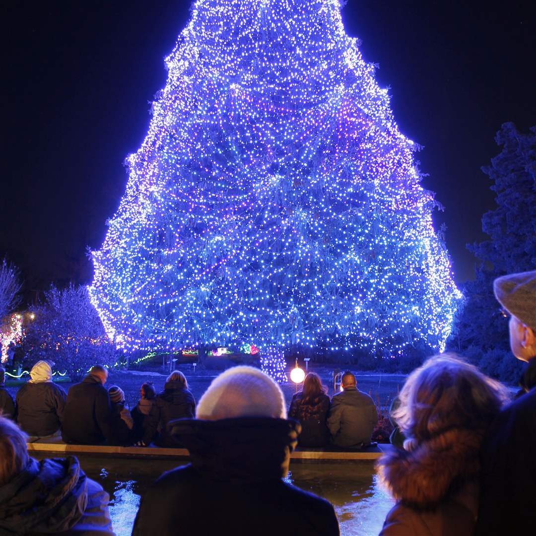 Visitors-watch-as-a-85-foot-Norway-Spruce-with-35-000-lights-is-lit