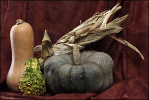 Various squash, gourds, and autumnal items are artfully arranged.