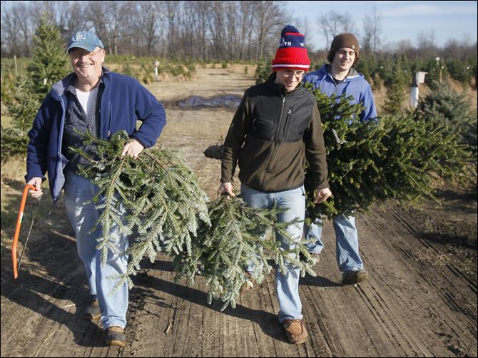 Paul Reineck and his sons, Patrick and Colin, carry their tree and several boughs back to their car after cutting it down at Matthes Evergreen Farm.