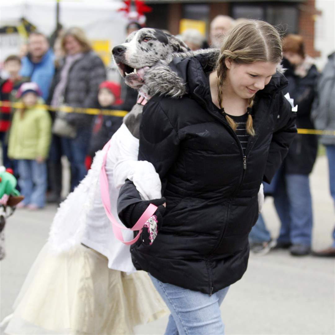 Heather-Kiselewski-of-Livonia-Mich-gets-some-help-walking-from-her-Great-Dane-Miley