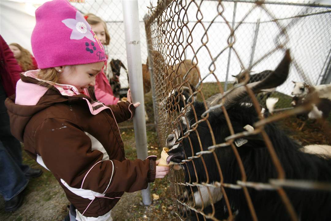 Kelsey-McCarty-of-Tecumseh-Mich-feeds-the-goats