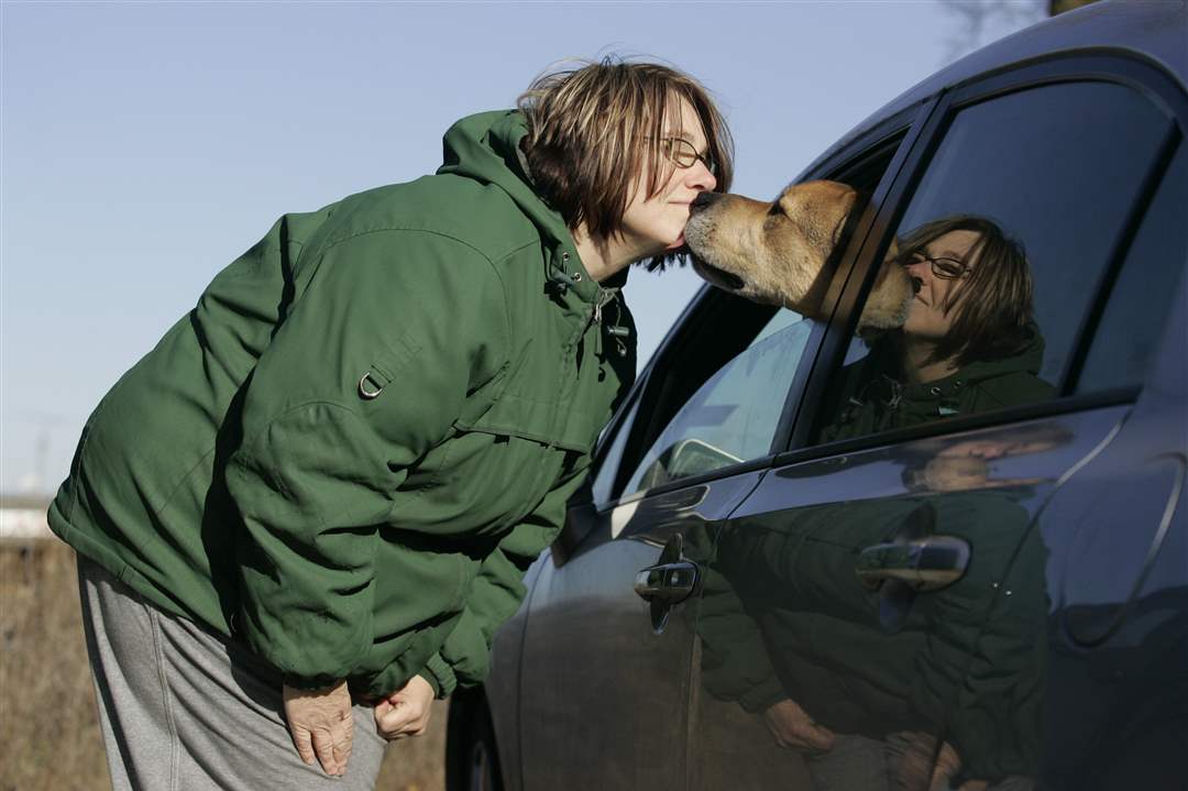 Open-Arms-Transporter-Joyce-Szpila-of-Swanton-gets-kisses-from-a-dog