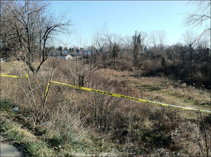 [Image: East-Toledo-homicide-field.jpg]