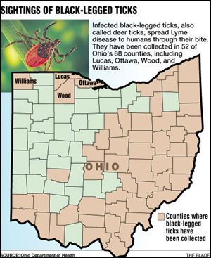 Infected black-legged ticks, also called deer ticks, spread Lyme disease to humans through their bite. They have been collected in 52 of Ohio’s 88 counties, including Lucas, Ottawa,  Wood, and Williams.