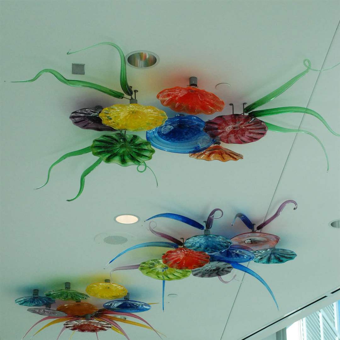 glass-northview-arts-ceiling-1