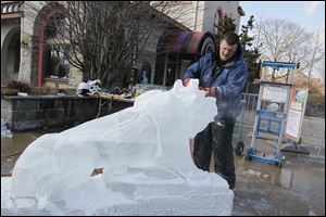 Jon Michael of Artic Diamond Ice Sculptures in Cincinnati unleashes a tiger from about eight blocks -- about 2,400 pounds -- of ice at the Toledo Zoo as part of its Winter Weekends program. 