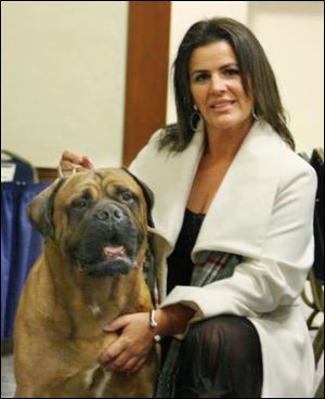 Christy Shepler of Holland and her bull mastiff, Grand Champion Peerless I am the Love Bug, better known as just "Bugs." The two are heading to Westminster Kennel Club's 136th annual dog show.