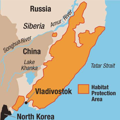 Amur-tiger-habitat-map