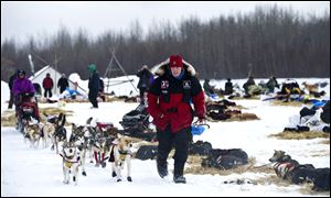 Aliy Zirkle leads her dogs from the Nikolai checkpoint during the Iditarod Trail Sled Dog Race on Tuesday.