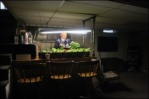 Lloyd Adelphia tends to his salad garden that is in the basement of his home in Toledo,OH