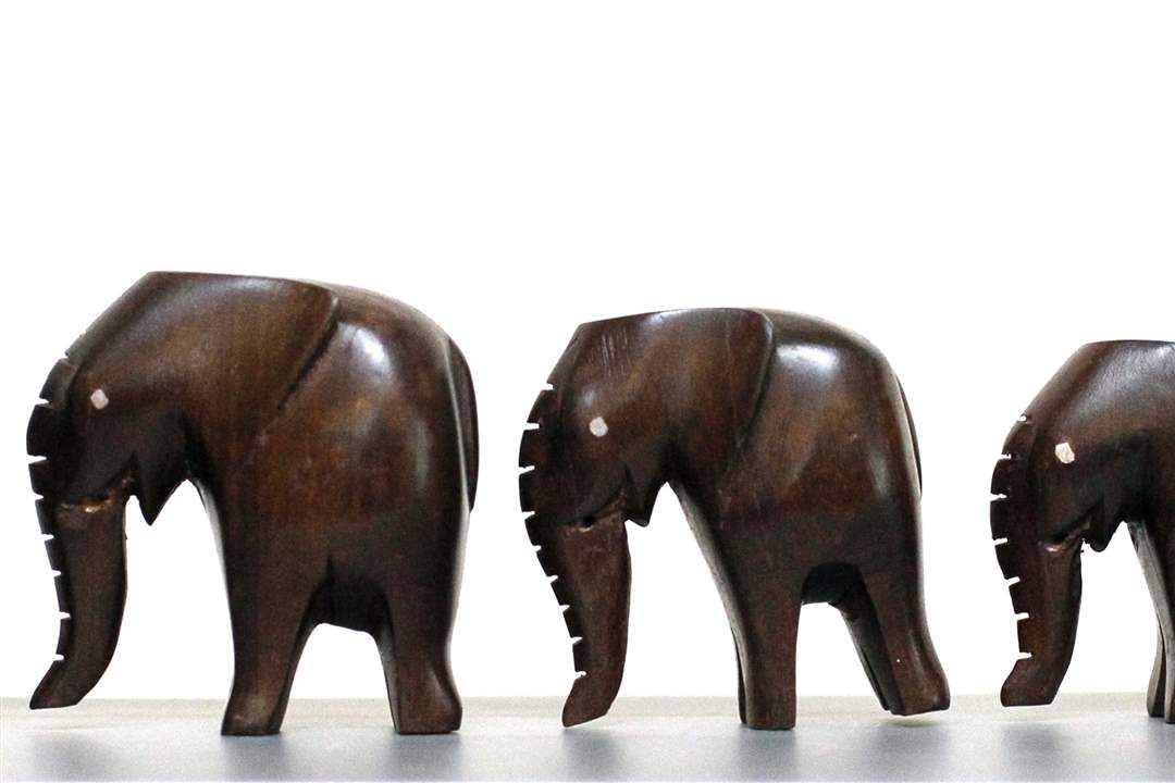 Gill-elephant-Ghana-set