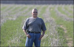 Mike VanAgtmael stands in his asparagus field in Elbridge Twshp., Mich. VanAgtmael is concerned about having enough employees to harvest an early crop of asparagus on his farm.