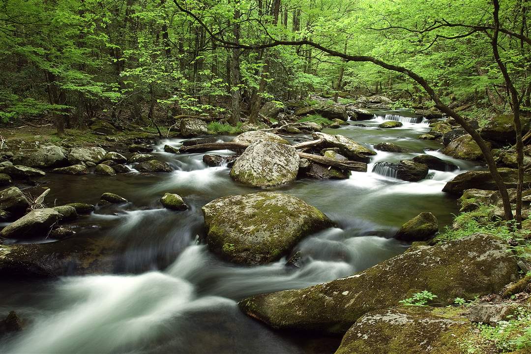 Smoky-Mountains-Little-River-Townsend