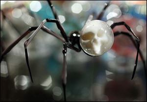 This spider with a skull by artist Wesley Fleming is among some of the quirkier items in his collection.