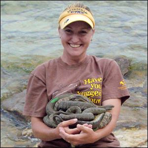 Kristin Stanford has studied the endangered Lake Erie water snake for thirteen years.