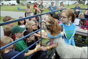 4-H member Samantha Augusta, 18, shows off a llama to second-grade students from Summerfield Elementary School during Agricultural Awareness Day on Friday.
