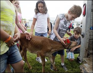 Agricultural Awareness Day is an opportunity for Summerfield Elementary students -- from left, Ella Bolster, Alex Anderson, and Reid Iott -- to pet a calf. The annual event at the Monroe County Fairgrounds is put on by 4-H. It tries to make the children  familiar with the country's important agricultural industry, which produces their food. 