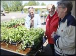  Maumee Valley Herb Society members Gerry Crouse, of Maumee, left, Carol Edgeworth, of Toledo, and  society president Shiela Thomas, of Sylvania, with several varieties of mint that are for sale. 