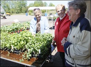 Maumee Valley Herb Society members Gerry Crouse, of Maumee, left, Carol Edgeworth, of Toledo, and  society president Shiela Thomas, of Sylvania, with several varieties of mint that are for sale. 