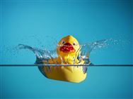 Give a Quack for Breast Cancer