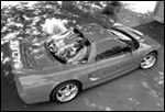 Classified ad 709530-706710-0
