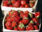  Strawberries from the Haslinger Farm in Gibsonburg, Ohio.