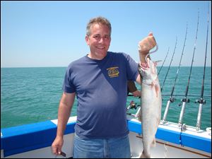 John Deem of Canton shows off the lake trout he reeled in while on an outing in western Lake Erie. The laker usually shuns shallow water.