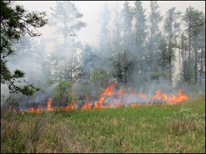 The Pine Creek North wildfire is shown at Seney National Wildlife Refuge in Seney, Mich.