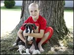  Austin Good, 8, hugs his 10-week-old boxer, Duke. He wanted a puppy even though he was severely attacked last year by two boxers owned by his dad's best friend.