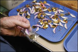 Zap Custom Lure Co. prides itself as the only lure maker to use only American-made components on Lake Erie.