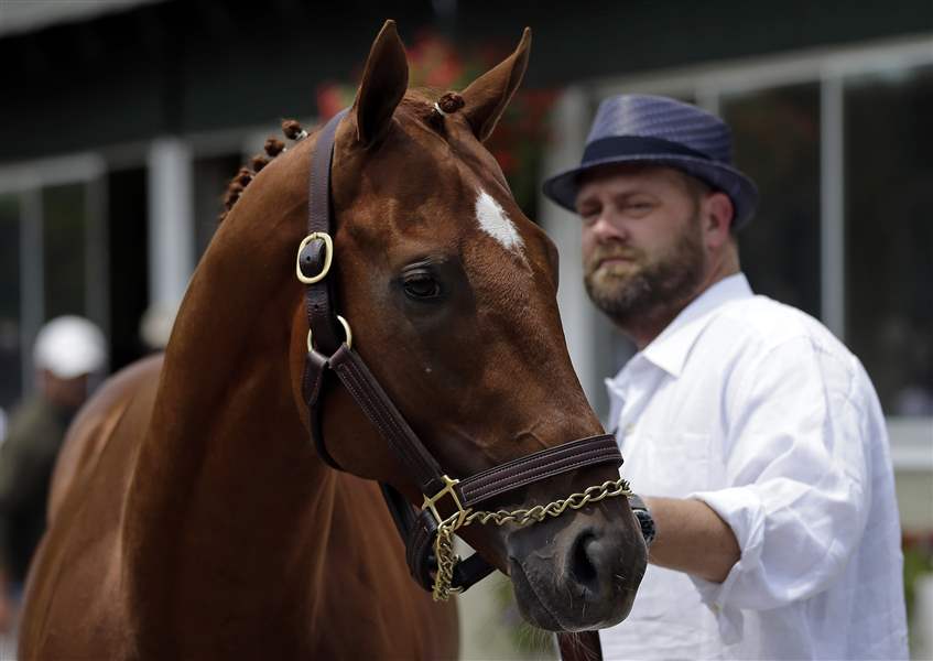 Kentucky-Derby-and-Preakness-winner-I-ll-Have-Another