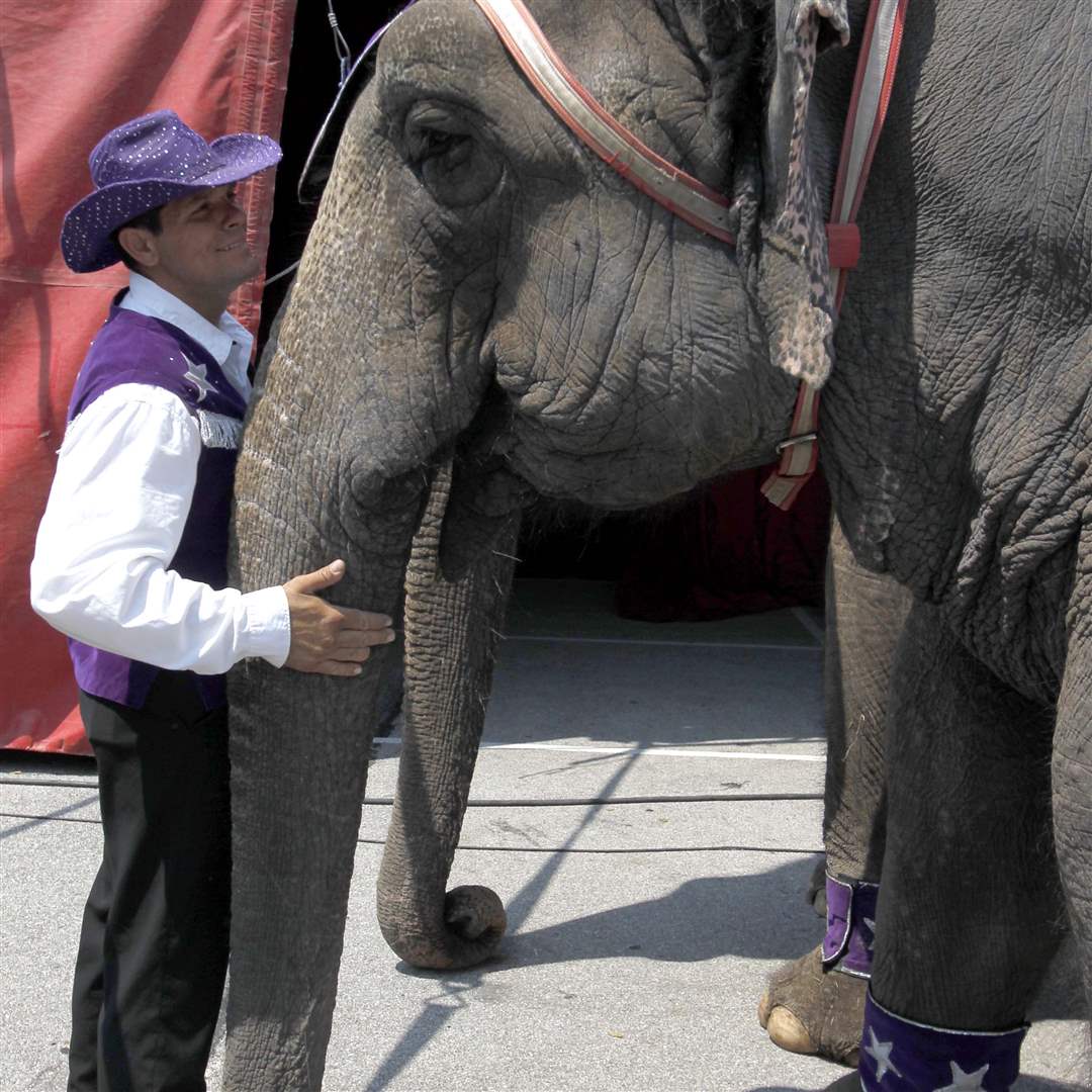 An-elephant-trainer-shares-a-moment
