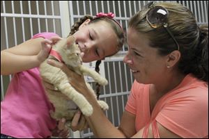 Claire Switala, 6, and her mother, Sharon Switala, both of Perrysburg, meet the kitten they adopted and named Poppy. Mrs. Switala said the Humane Society event speeded their decision to get a kitten.