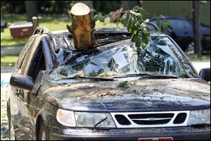 A car on East Sand Road in Port Clinton was crushed by a tree limb that was brought down by a powerful storm Sunday night.