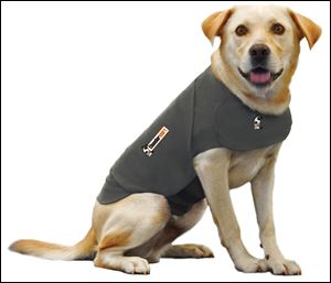 The Thundershirt vest can help ease anxiety that some dogs feel from fireworks, thunderstorms, and car rides.