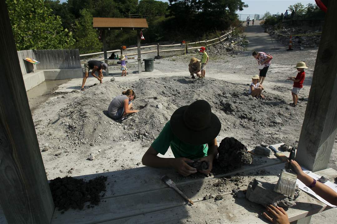 Both-children-and-their-parents-alike-hunt-for-fossils