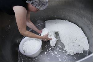 Jill Proudfoot of Wauseon, Ohio, places cheese curds into a mold so that it can be pressed into a wheel of gouda cheese at the Turkeyfoot Creek Creamery.