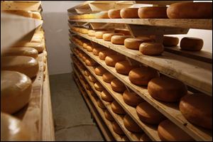 Wheels of gouda cheese are kept cool wile they age in the Cheese cave.